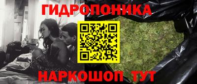 apvp Лесосибирск