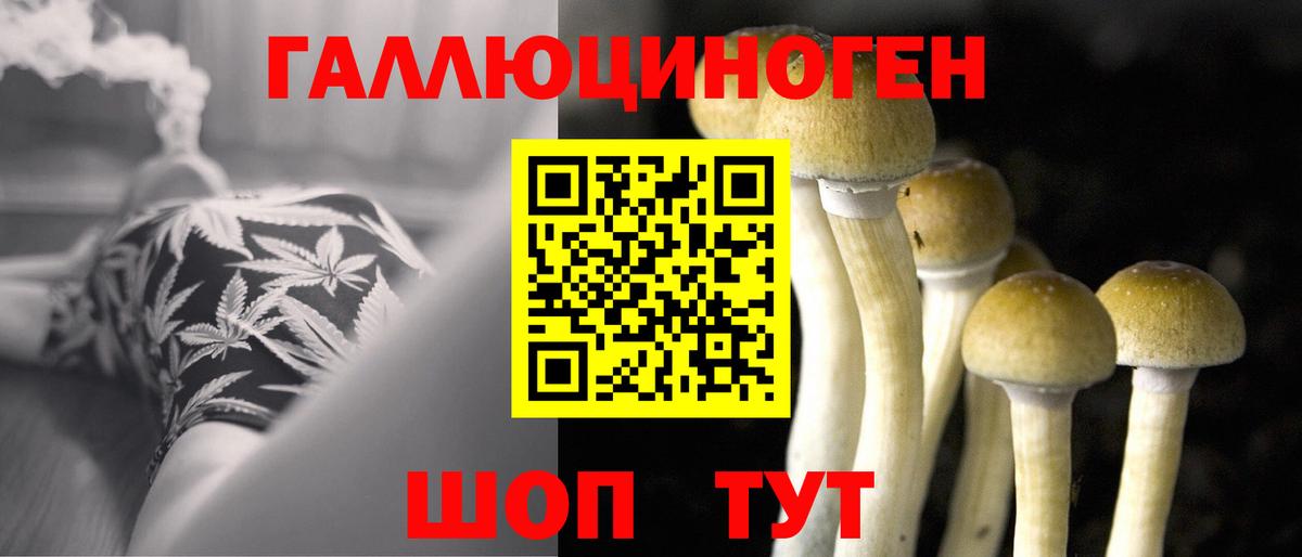 Галлюциногенные грибы ЛСД  Вход с VPN  закладка  Электросталь  Псилоцибиновые грибы MAGIC MUSHROOMS 